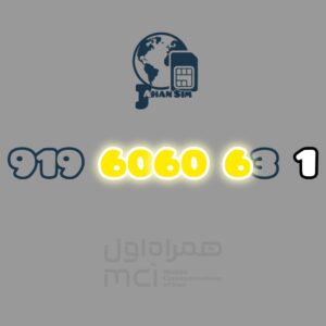 09196060631