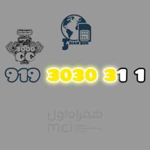 09193030311