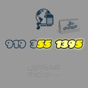 09193551395