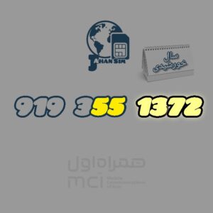 9193551372