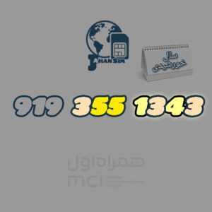 9193551343