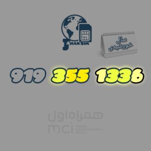 9193551336