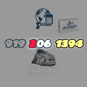 9192061394