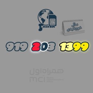 9192031399