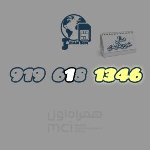 9196181346