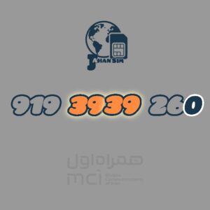 9193939260