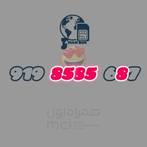 9198585687