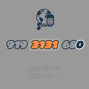 9193131680