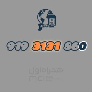 9193131860