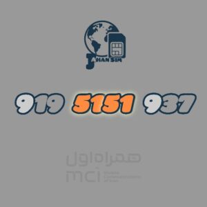 9195151937