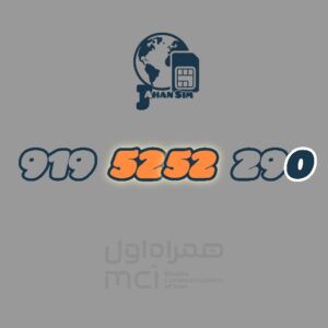9195252290