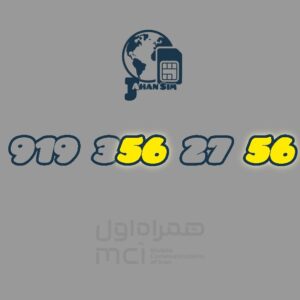 9193562756