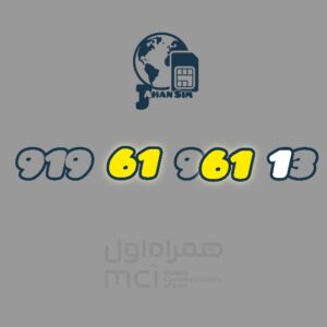 9196196113