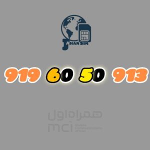 9196050913