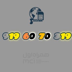 9196070319