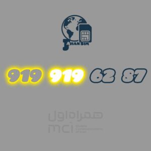 919.919.62.87