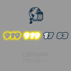 919.919.17.83