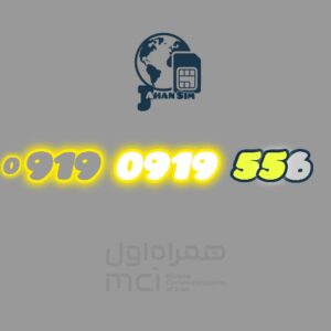 919.0919.556
