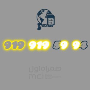 919.919.59.94