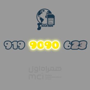 919.9090.623