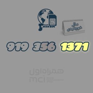 919.356.1371