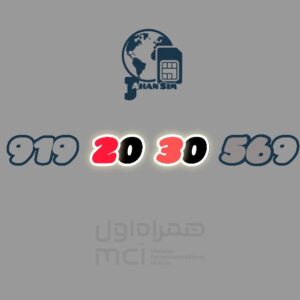 919.20.30.569