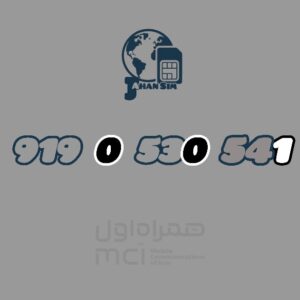 919.0.530.541