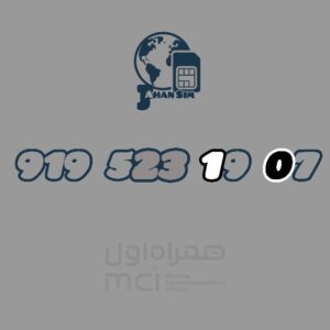 919.523.19.07