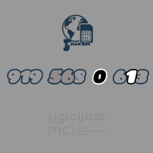 919.568.0.613