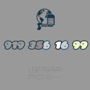 919.356.16.99