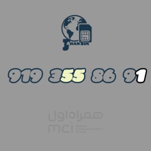 919.355.86.91