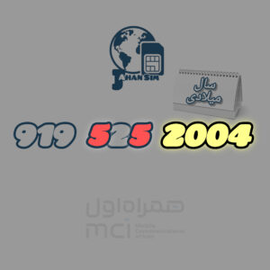 919.525.2004