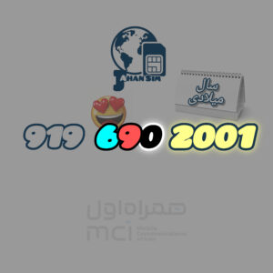 919.690.2001