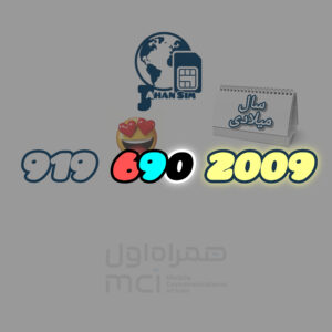 919.690.2009