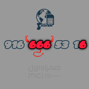 919.666.53.16
