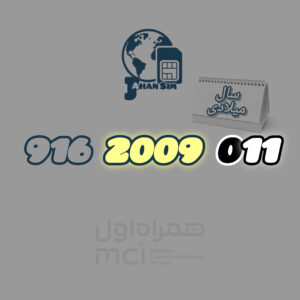 919.2009.011
